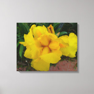 Yellow Iris Blume Leinwand
