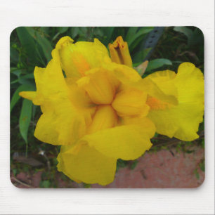 Yellow Iris Blume Mousepad
