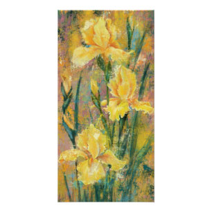 Yellow Iris Blume Poster