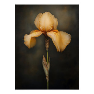 Yellow Iris Botanische Malerei Poster