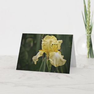 Yellow Iris Sunshine Scripture Card Nummern 6:25 Karte