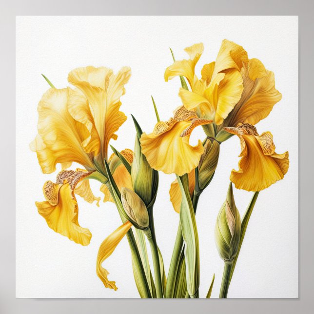 Yellow Irische Blume Art Print Poster (Vorne)