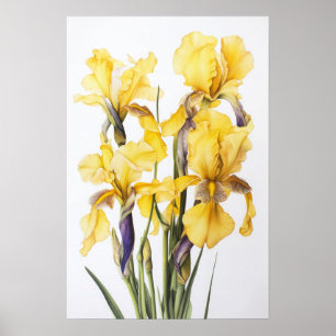 Yellow Irische Blume Art Print Poster