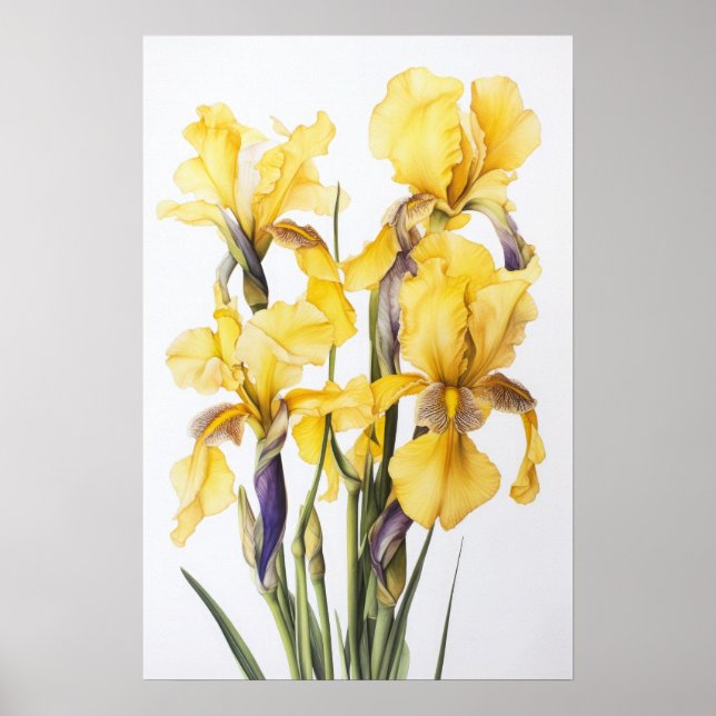 Yellow Irische Blume Art Print Poster (Vorne)