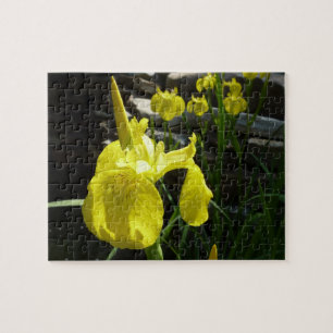 Yellow Irises Bright Spring Floral Puzzle
