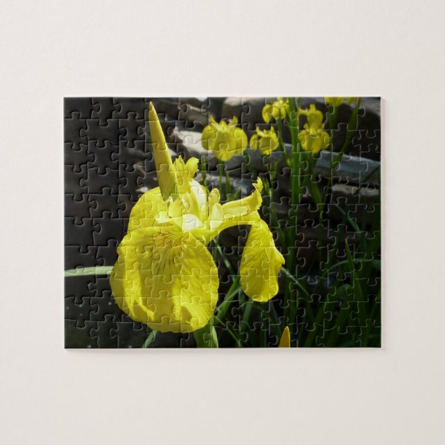 Yellow Irises Bright Spring Floral Puzzle (Horizontal)