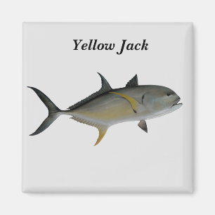 Yellow Jack Fish Magnet
