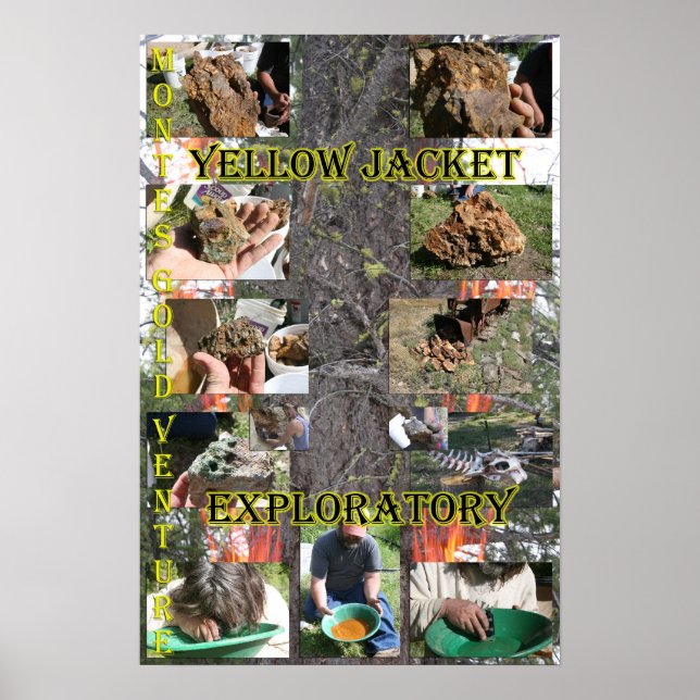 Yellow Jacket Exploratory Poster (Vorne)