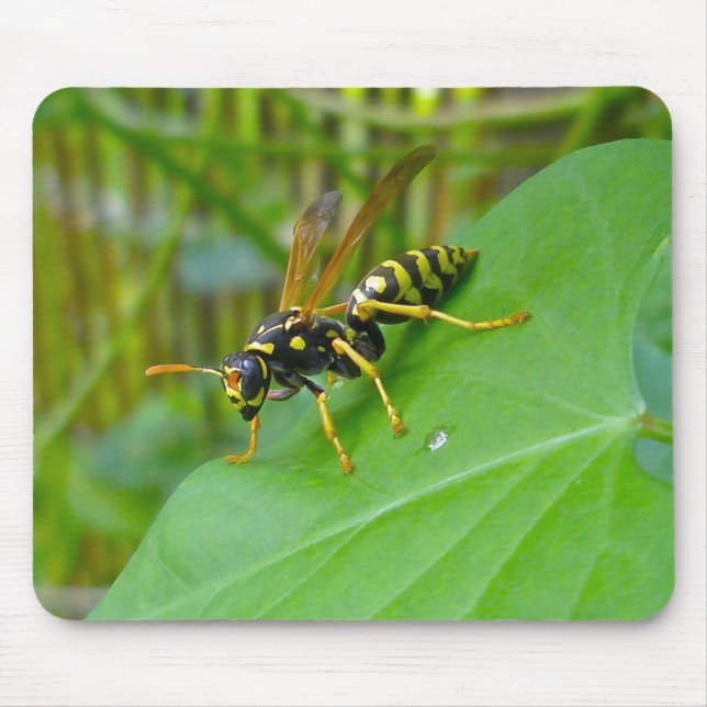 Yellow Jacket Mousepad (Vorne)