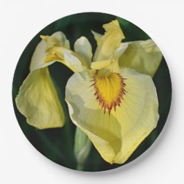 Yellow Japanese Iris Floral Pappteller