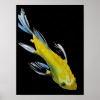 Yellow Japanese Koi Wassercolor