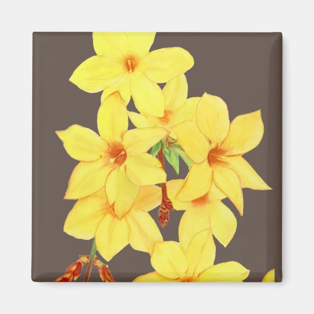 Yellow Jasmine Blume Magnet | Aquarellkunst (Vorne)