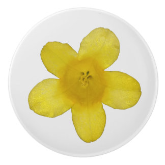 Yellow Jasmine Keramikknauf