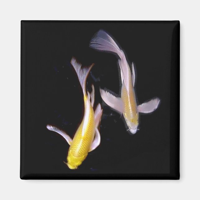 Yellow Koi Pair Magnet (Vorne)