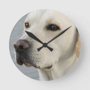 Yellow Lab Clock Runde Wanduhr