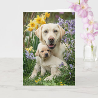Yellow Lab Mom Mother’s Day Love Karte