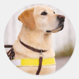Yellow Labrador Guide Dog Graduation Envelope Seal Runder Aufkleber