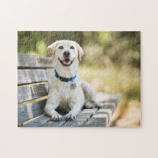 Yellow Labrador Lays On Bench Puzzle (Horizontal)