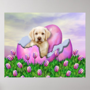 Yellow Labrador Osterüberraschung Poster