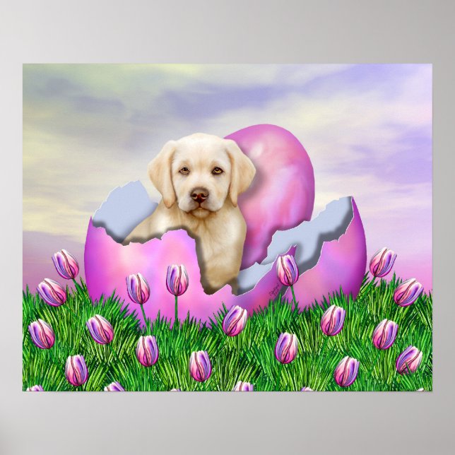 Yellow Labrador Osterüberraschung Poster (Vorne)