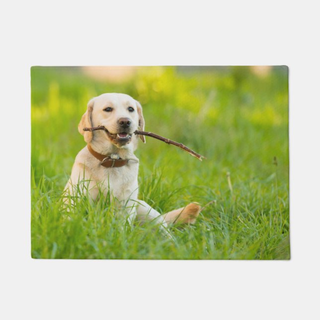 Yellow Labrador Plays mit Stick Fußmatte (Vorderseite)