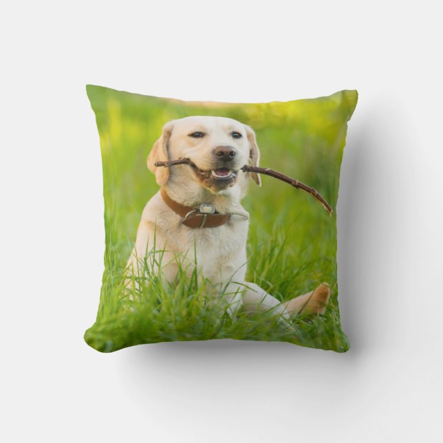Yellow Labrador Plays mit Stick Kissen (Vorderseite)