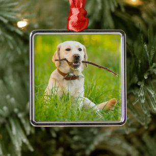 Yellow Labrador Plays mit Stick Ornament Aus Metall