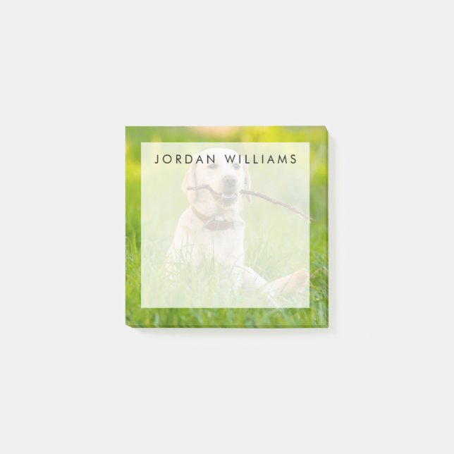 Yellow Labrador Plays mit Stick Post-it Klebezettel (Vorderseite)