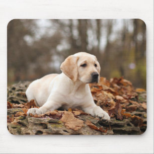 Yellow Labrador Puppy im Herbst Mousepad