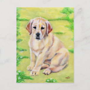 Yellow Labrador Puppy Postkarte