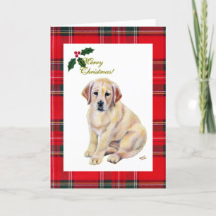 Yellow Labrador Puppy Tartan Weihnachten