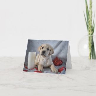Yellow Labrador Puppy Valentinstag Dankeskarte
