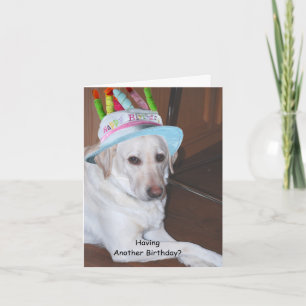 Yellow Labrador Retriever in Birthday Hat Karte