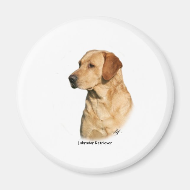Yellow Labrador Retriever Magnet (Vorne)