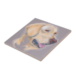 Yellow Labrador Retriever Portrait Fliese