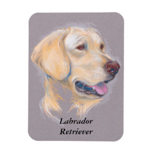 Yellow Labrador Retriever Portrait Magnet