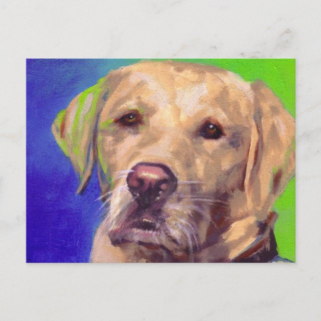 Yellow Labrador Retriever Postkarte (Vorderseite)