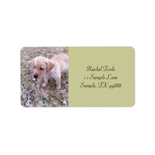 Yellow Labrador Retriever Puppy Address Labels Adressaufkleber