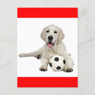 Yellow Labrador Retriever Puppy Doppy Postcard Postkarte