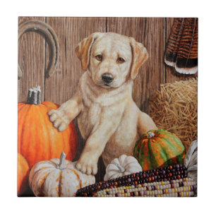 Yellow Labrador Retriever Puppy Doppy Pumpkin Herb Fliese