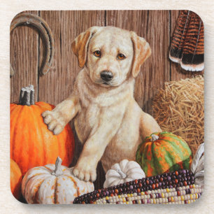 Yellow Labrador Retriever Puppy Doppy Pumpkin Herb Untersetzer