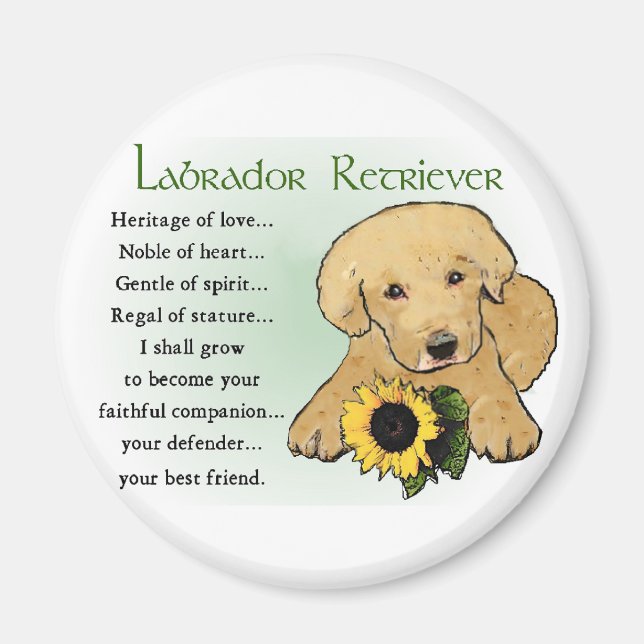Yellow Labrador Retriever Puppy Gips Magnet (Vorne)