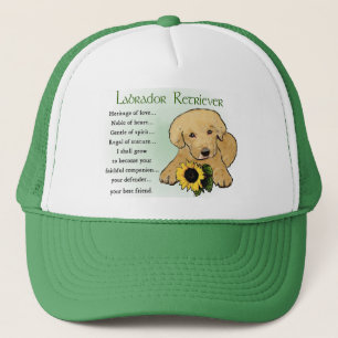 Yellow Labrador Retriever Puppy Gips Truckerkappe