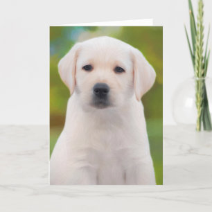 Yellow Labrador Retriever Puppy Greve Cards Karte
