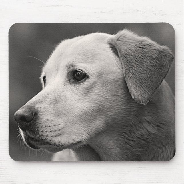 Yellow Labrador Retriever Puppy Hund Mousepad (Vorne)