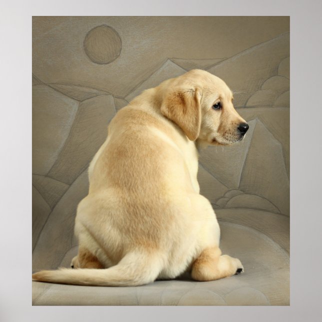 Yellow Labrador Retriever Puppy Poster (Vorne)