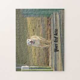 Yellow Labrador Retriever Running Puzzle