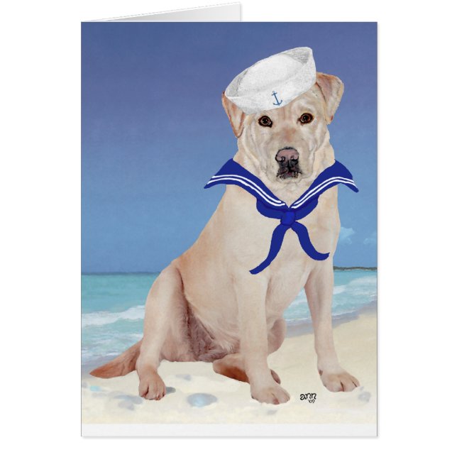 Yellow Labrador Retriever Sailor (Vorne)