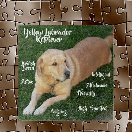 Yellow Labrador Retriever Tracks Game Puzzle