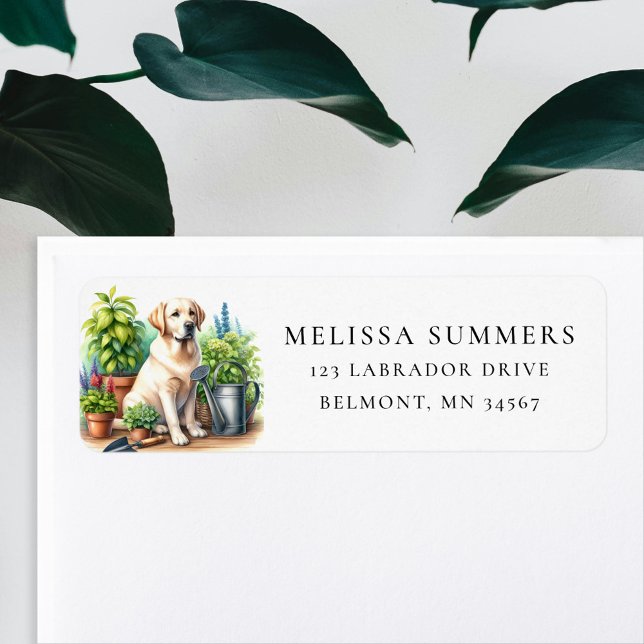 Yellow Labrador Spring Garden Rücksendeadresse Lab (Von Creator hochgeladen)